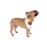 Cavoodle Dog Bandana