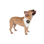 German Shepherd Dog Bandana
