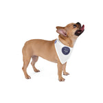French Bulldog Dog Bandana